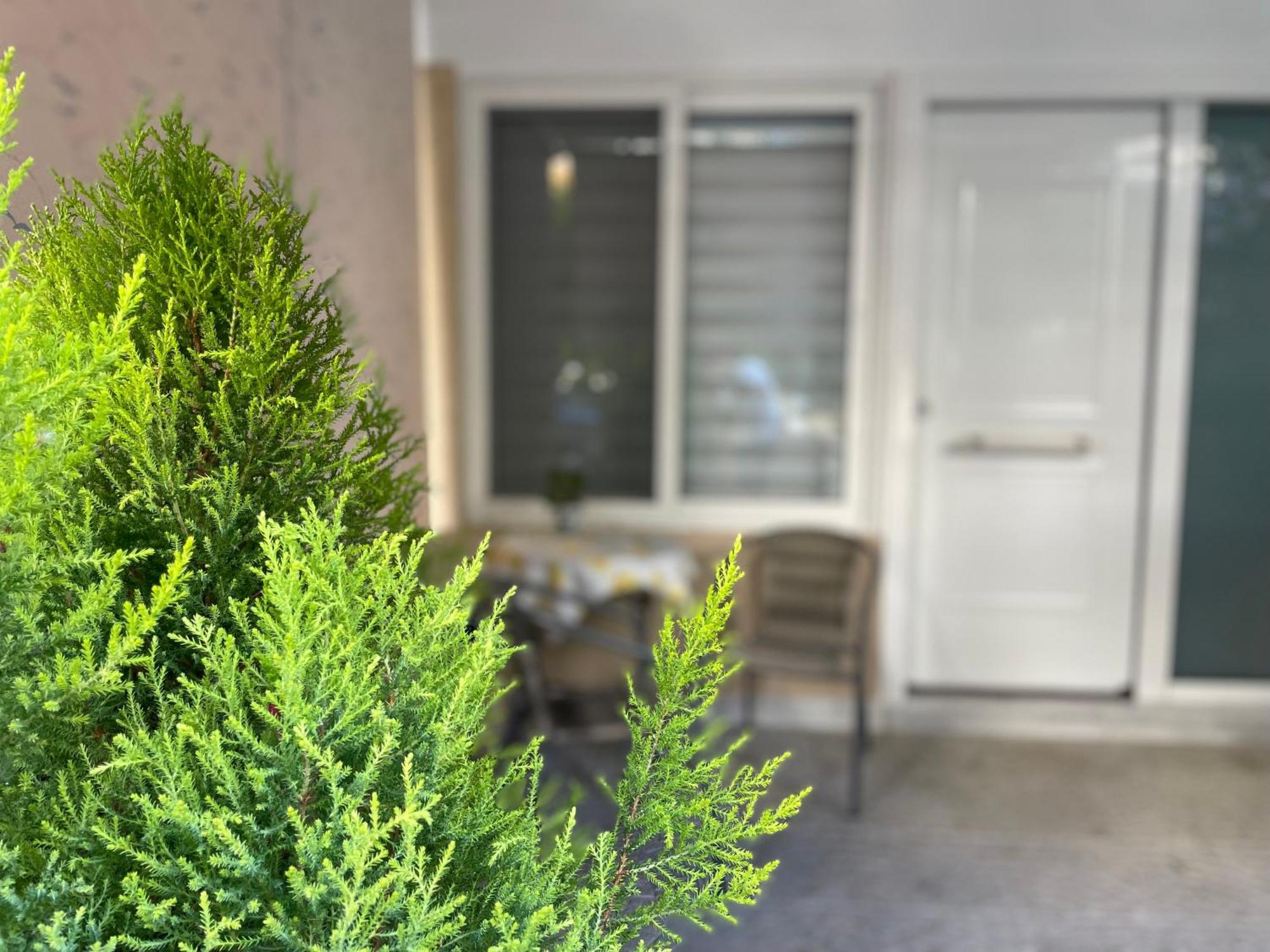 Aphrodite Studio Near Athens Floisvos Marina Εξωτερικό φωτογραφία